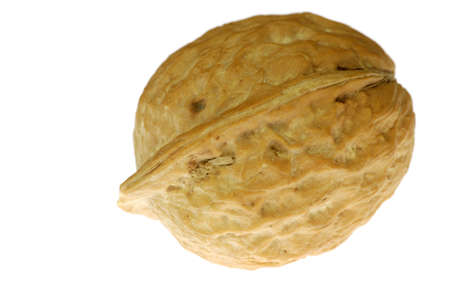 walnut isolated on white