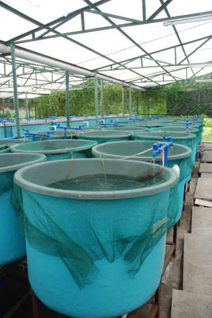 Agriculture aquaculture water system farmの写真素材