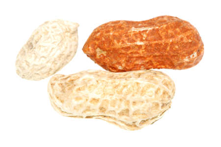 peanut isolated on white background