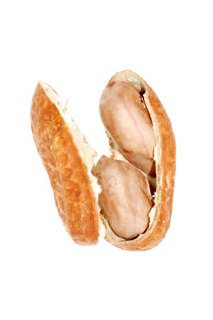 peanut isolated on white background