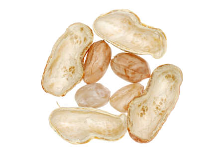 peanut isolated on white background