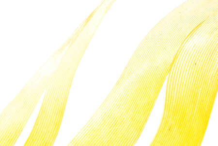yellow feather abstract texture background isolated on whiteの写真素材
