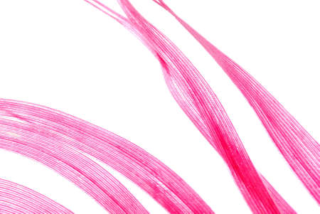red feather abstract texture background isolated on whiteの写真素材