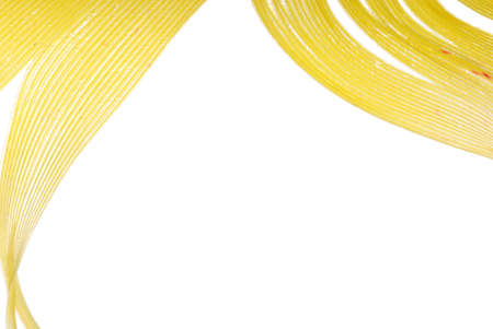 yellow feather abstract texture background isolated on whiteの写真素材