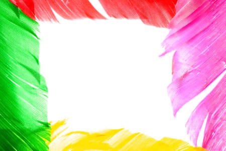 colourful bird feather frame backgroundの写真素材