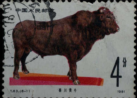 China - CIRCA 1981: A stamp printed in China shows wild animal cattle ox, circa 1981の写真素材