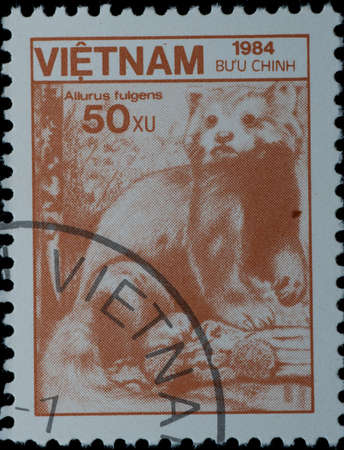 VIETNAM - CIRCA 1984: A stamp printed in Vietnam shows wild animal lesser panda, circa 1984の写真素材