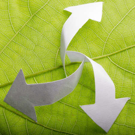 nature recycle abstract concept green leaf backgroundの写真素材