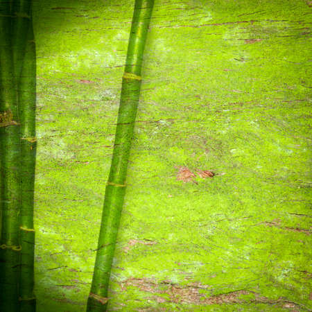 abstract bamboo green backgroundの写真素材