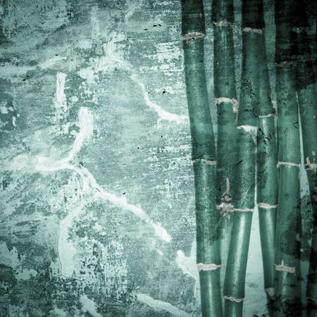 bamboo backgroundの写真素材