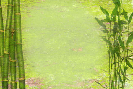 bamboo  backgroundの写真素材