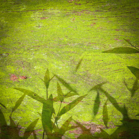 green leaf texture background