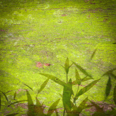 green leaf texture backgroundの写真素材