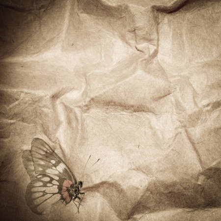 fly butterfly paper abstract backgroundの写真素材