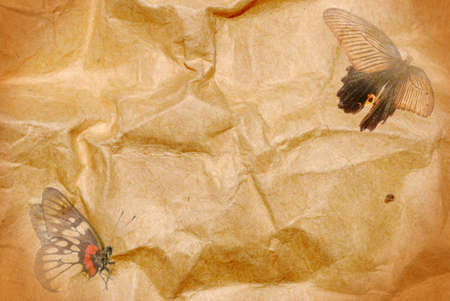 fly butterfly paper abstract backgroundの写真素材