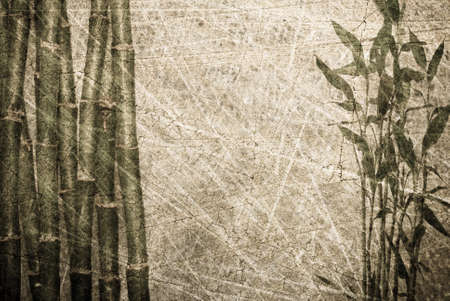 bamboo backgroundの写真素材