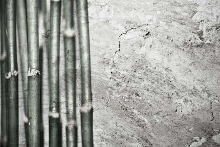 bamboo backgroundの写真素材