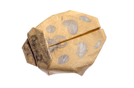 fold paper ladybird bug isolated on whiteの写真素材