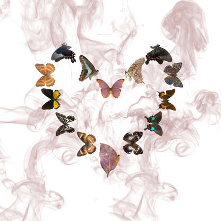 butterfly heart sharp frame isolated on white backgroundの写真素材