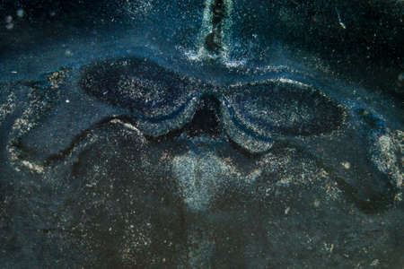 science medical microscopy micrograph, rat brain hippocampal neuronsの写真素材