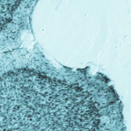 science medical microscopy micrograph, rat brain hippocampal neuronsの写真素材
