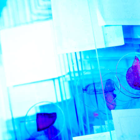 science medical glass microscope slide with sampleの写真素材