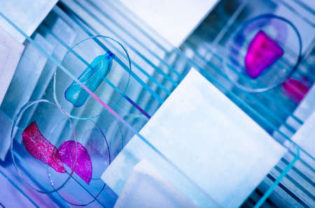 science medical glass microscope slide with sampleの写真素材