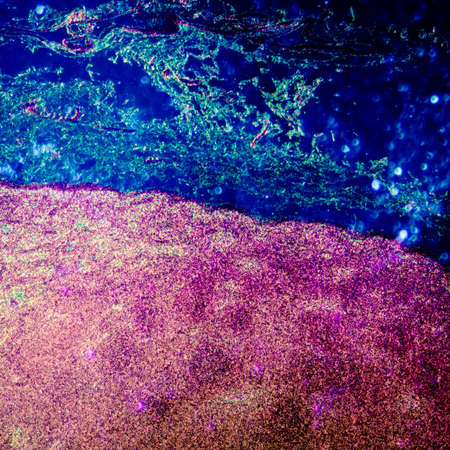 science medical anthropotomy physiology microscopic section of lymph gland tissue backgroundの写真素材