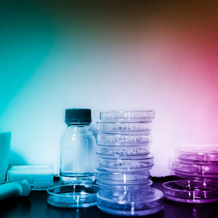 science genetically modified plants test in petri dishes backgroundの写真素材