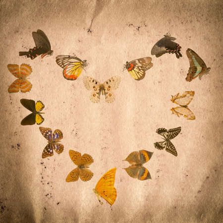 old grunge paper texture backgroundの写真素材