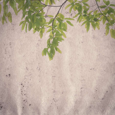 old grunge paper texture backgroundの写真素材