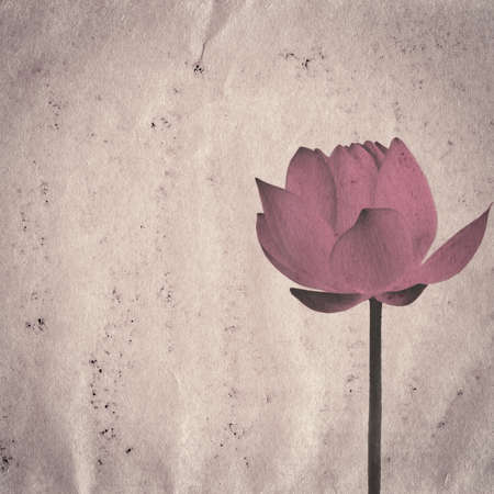 lotus flower on old grunge paper texture backgroundの写真素材