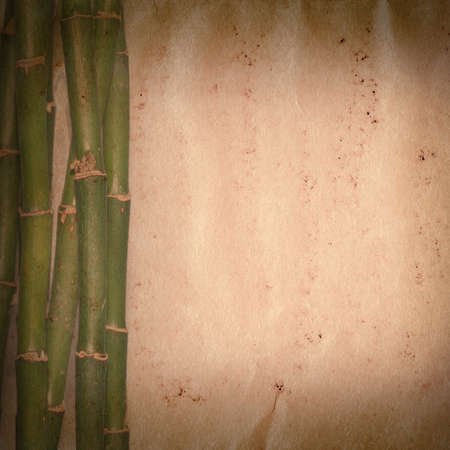 bamboo on old grunge paper texture backgroundの写真素材