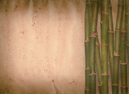 bamboo on old grunge paper texture backgroundの写真素材