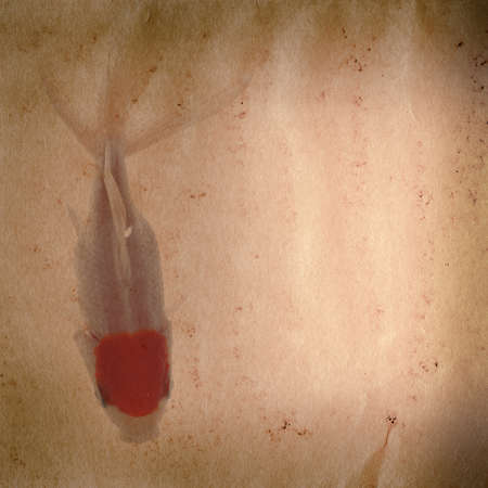 golden fish on old grunge paper texture backgroundの写真素材