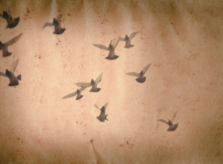 flying dove group old grunge paper texture backgroundの写真素材
