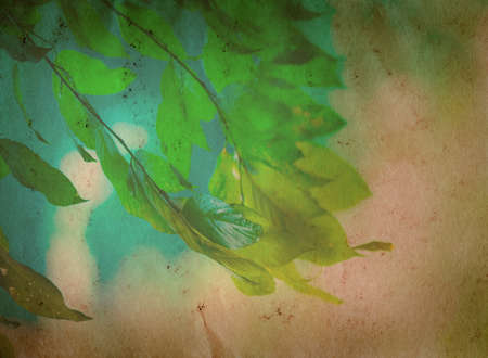 spring nature green leaf old grunge paper texture backgroundの写真素材