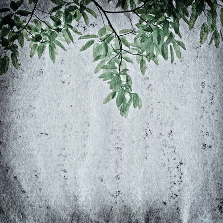 old grunge paper texture backgroundの写真素材