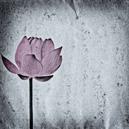 lotus flower on old grunge paper texture backgroundの写真素材
