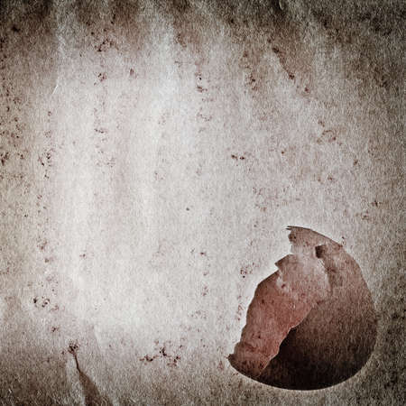 egg old grunge paper texture backgroundの写真素材