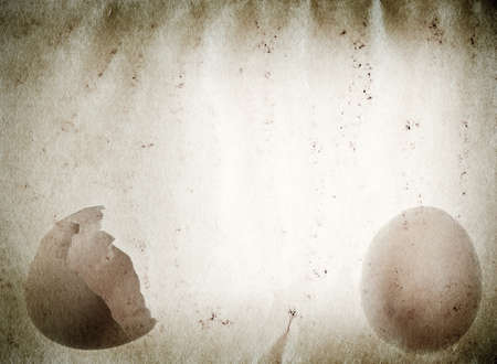 egg old grunge paper texture backgroundの写真素材