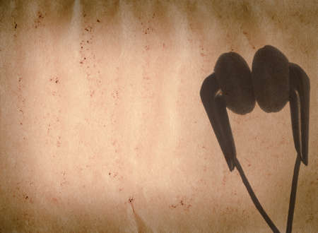 music earphone old grunge paper texture backgroundの写真素材