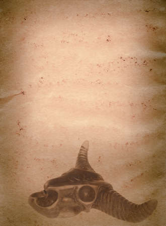 demon bull skull old grunge paper texture backgroundの写真素材