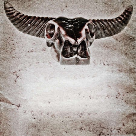 demon bull skull old grunge paper texture backgroundの写真素材