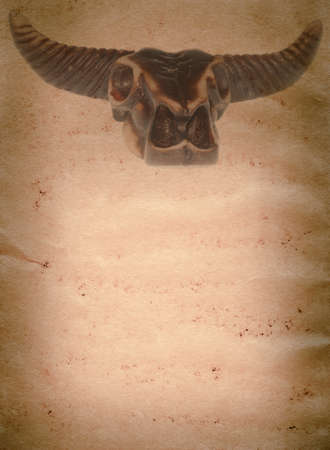 demon bull skull old grunge paper texture backgroundの写真素材