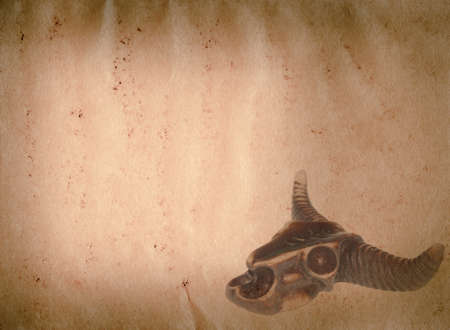 demon bull skull old grunge paper texture backgroundの写真素材
