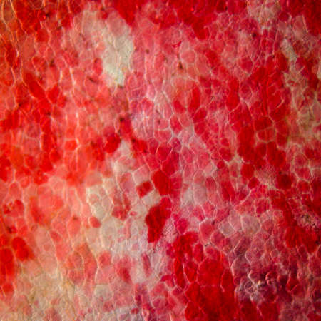 red cherry fruit peel cell, science micrograph plant patternの写真素材