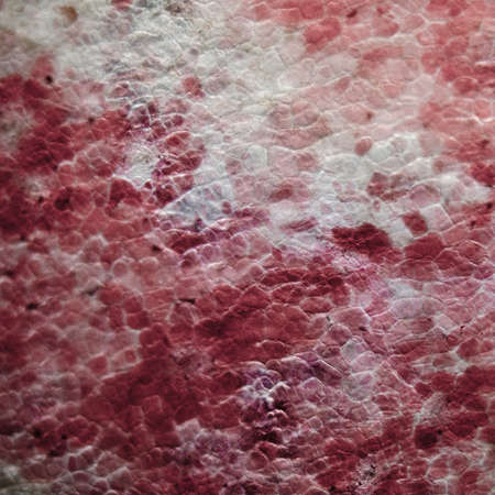 red cherry fruit peel cell, science micrograph plant patternの写真素材