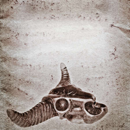 demon bull skull old grunge paper texture backgroundの写真素材