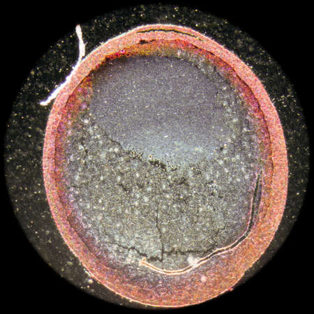 science microscopy micrograph cleavage stage of frog eggの写真素材